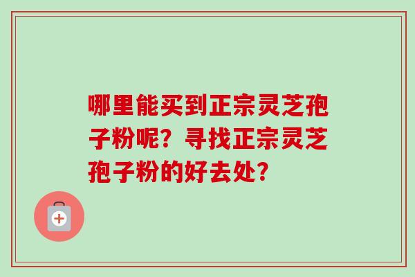 哪里能买到正宗灵芝孢子粉呢?寻找正宗灵芝孢子粉的好去处?-第1张图片-卓越灵芝孢子粉 哪里能买到正宗灵芝孢子粉呢?寻找正宗灵芝孢子粉的好去处?-第1张图片-卓越灵芝孢子粉