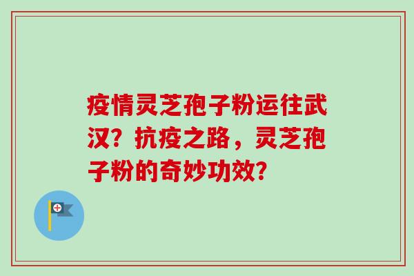 疫情灵芝孢子粉运往武汉?抗疫之路,灵芝孢子粉的奇妙功效?-第1张图片-卓越灵芝孢子粉 疫情灵芝孢子粉运往武汉?抗疫之路,灵芝孢子粉的奇妙功效?-第1张图片-卓越灵芝孢子粉