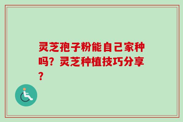 灵芝孢子粉能自己家种吗？灵芝种植技巧分享？-第1张图片-卓越灵芝孢子粉