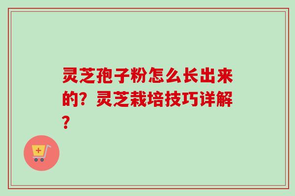 灵芝孢子粉怎么长出来的？灵芝栽培技巧详解？-第1张图片-卓越灵芝孢子粉