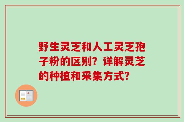 野生灵芝和人工灵芝孢子粉的区别？详解灵芝的种植和采集方式？-第1张图片-卓越灵芝孢子粉