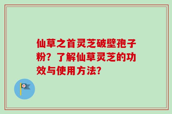 仙草之首灵芝破壁孢子粉?了解仙草灵芝的功效与使用方法?-第1张图片-卓越灵芝孢子粉 仙草之首灵芝破壁孢子粉?了解仙草灵芝的功效与使用方法?-第1张图片-卓越灵芝孢子粉