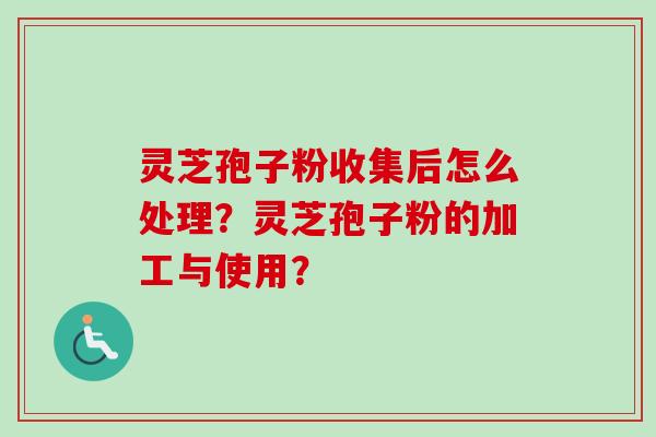 灵芝孢子粉收集后怎么处理？灵芝孢子粉的加工与使用？-第1张图片-卓越灵芝孢子粉