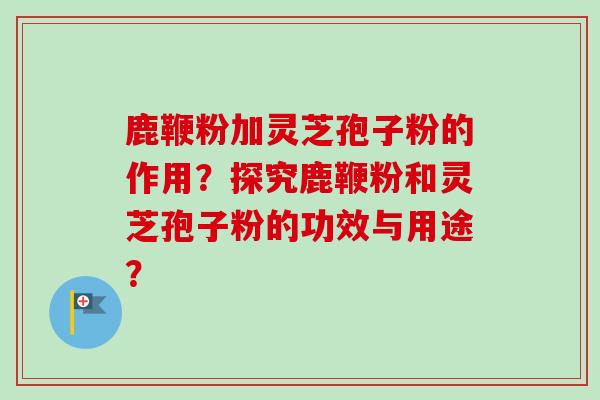 鹿鞭粉加灵芝孢子粉的作用?探究鹿鞭粉和灵芝孢子粉的功效与用途?-第1张图片-卓越灵芝孢子粉 鹿鞭粉加灵芝孢子粉的作用?探究鹿鞭粉和灵芝孢子粉的功效与用途?-第1张图片-卓越灵芝孢子粉