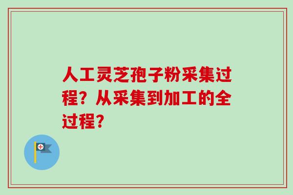 人工灵芝孢子粉采集过程？从采集到加工的全过程？-第1张图片-卓越灵芝孢子粉