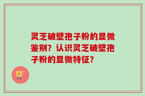灵芝破壁孢子粉的显微鉴别?认识灵芝破壁孢子粉的显微特征?-第1张图片-卓越灵芝孢子粉 灵芝破壁孢子粉的显微鉴别?认识灵芝破壁孢子粉的显微特征?-第1张图片-卓越灵芝孢子粉