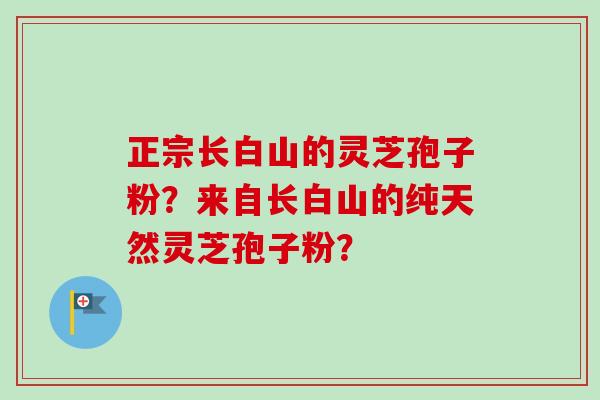 正宗长白山的灵芝孢子粉？来自长白山的纯天然灵芝孢子粉？-第1张图片-卓越灵芝孢子粉