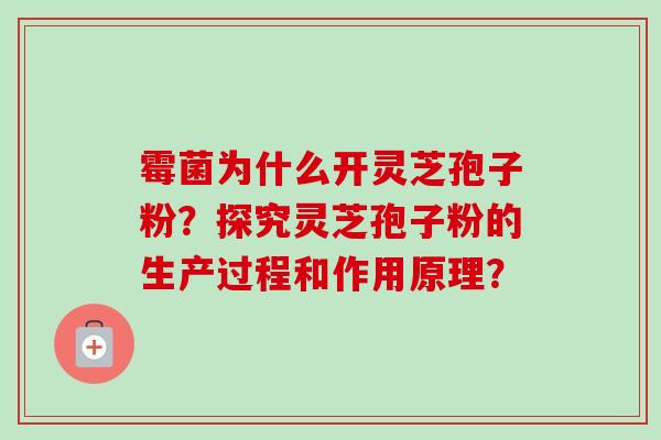 霉菌为什么开灵芝孢子粉？探究灵芝孢子粉的生产过程和作用原理？-第1张图片-卓越灵芝孢子粉