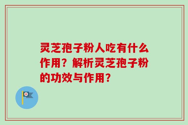 灵芝孢子粉人吃有什么作用？解析灵芝孢子粉的功效与作用？-第1张图片-卓越灵芝孢子粉