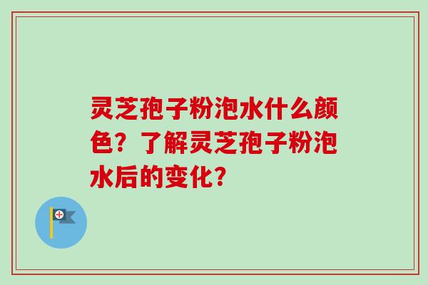 灵芝孢子粉泡水什么颜色？了解灵芝孢子粉泡水后的变化？-第1张图片-卓越灵芝孢子粉
