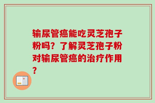 输尿管癌能吃灵芝孢子粉吗？了解灵芝孢子粉对输尿管癌的治疗作用？-第1张图片-卓越灵芝孢子粉