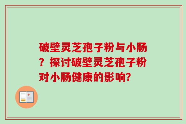 破壁灵芝孢子粉与小肠？探讨破壁灵芝孢子粉对小肠健康的影响？-第1张图片-卓越灵芝孢子粉