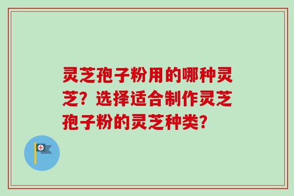 灵芝孢子粉用的哪种灵芝？选择适合制作灵芝孢子粉的灵芝种类？-第1张图片-卓越灵芝孢子粉