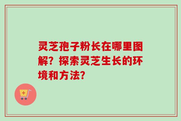 灵芝孢子粉长在哪里图解?探索灵芝生长的环境和方法?-第1张图片-卓越灵芝孢子粉 灵芝孢子粉长在哪里图解?探索灵芝生长的环境和方法?-第1张图片-卓越灵芝孢子粉