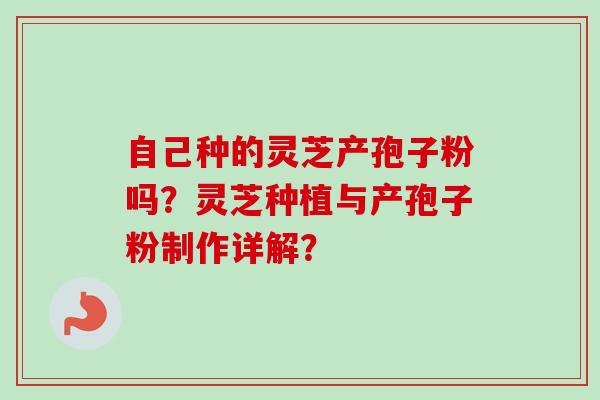 自己种的灵芝产孢子粉吗？灵芝种植与产孢子粉制作详解？-第1张图片-卓越灵芝孢子粉