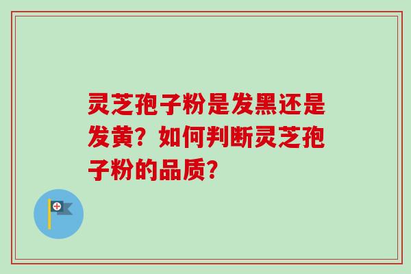 灵芝孢子粉是发黑还是发黄？如何判断灵芝孢子粉的品质？-第1张图片-卓越灵芝孢子粉