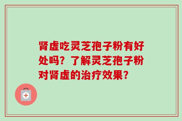 肾虚吃灵芝孢子粉有好处吗？了解灵芝孢子粉对肾虚的治疗效果？-第1张图片-卓越灵芝孢子粉