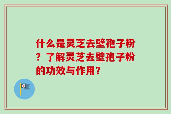 什么是灵芝去壁孢子粉?了解灵芝去壁孢子粉的功效与作用?-第1张图片-卓越灵芝孢子粉 什么是灵芝去壁孢子粉?了解灵芝去壁孢子粉的功效与作用?-第1张图片-卓越灵芝孢子粉