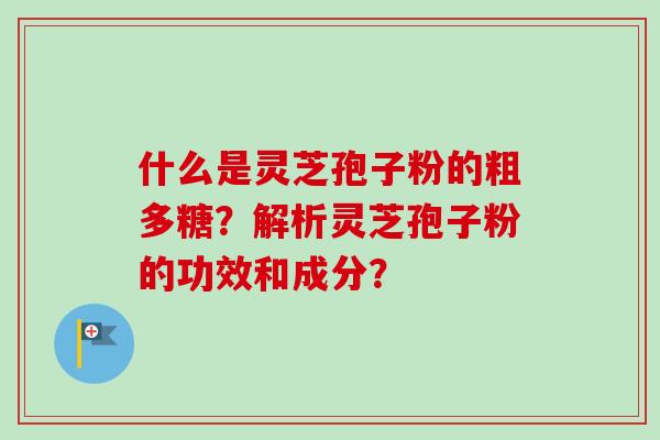 什么是灵芝孢子粉的粗多糖?解析灵芝孢子粉的功效和成分?-第1张图片-卓越灵芝孢子粉 什么是灵芝孢子粉的粗多糖?解析灵芝孢子粉的功效和成分?-第1张图片-卓越灵芝孢子粉