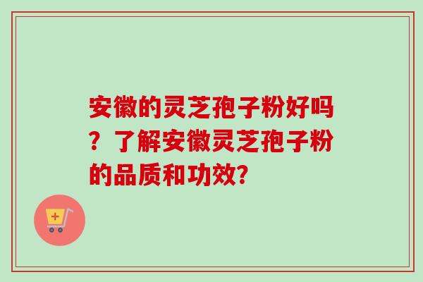 安徽的灵芝孢子粉好吗？了解安徽灵芝孢子粉的品质和功效？-第1张图片-卓越灵芝孢子粉