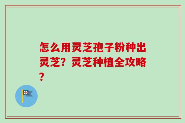 怎么用灵芝孢子粉种出灵芝?灵芝种植全攻略?-第1张图片-卓越灵芝孢子粉 怎么用灵芝孢子粉种出灵芝?灵芝种植全攻略?-第1张图片-卓越灵芝孢子粉