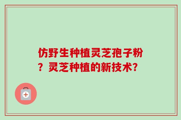仿野生种植灵芝孢子粉?灵芝种植的新技术?-第1张图片-卓越灵芝孢子粉 仿野生种植灵芝孢子粉?灵芝种植的新技术?-第1张图片-卓越灵芝孢子粉