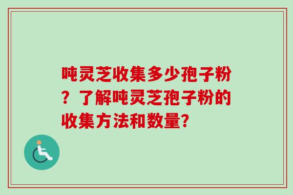 吨灵芝收集多少孢子粉?了解吨灵芝孢子粉的收集方法和数量?-第1张图片-卓越灵芝孢子粉 吨灵芝收集多少孢子粉?了解吨灵芝孢子粉的收集方法和数量?-第1张图片-卓越灵芝孢子粉