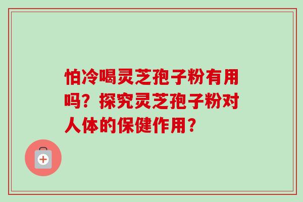 怕冷喝灵芝孢子粉有用吗？探究灵芝孢子粉对人体的保健作用？-第1张图片-卓越灵芝孢子粉