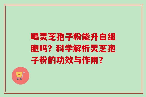 喝灵芝孢子粉能升白细胞吗?科学解析灵芝孢子粉的功效与作用?-第1张图片-卓越灵芝孢子粉 喝灵芝孢子粉能升白细胞吗?科学解析灵芝孢子粉的功效与作用?-第1张图片-卓越灵芝孢子粉