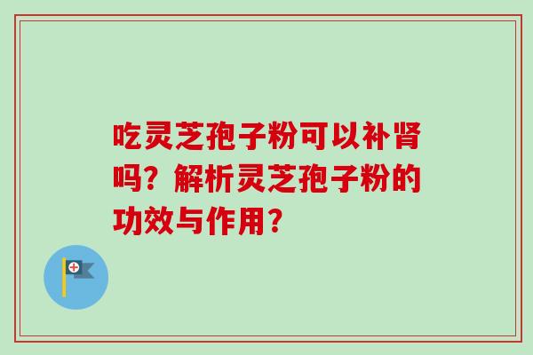 吃灵芝孢子粉可以补肾吗？解析灵芝孢子粉的功效与作用？-第1张图片-卓越灵芝孢子粉
