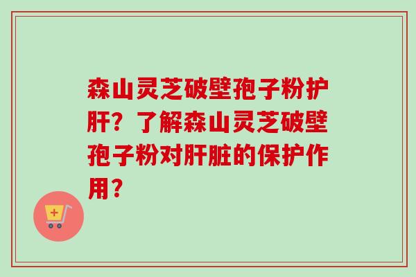 森山灵芝破壁孢子粉护肝？了解森山灵芝破壁孢子粉对肝脏的保护作用？-第1张图片-卓越灵芝孢子粉