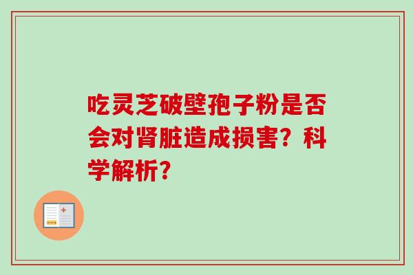 吃灵芝破壁孢子粉是否会对肾脏造成损害？科学解析？-第1张图片-卓越灵芝孢子粉