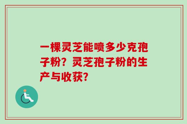 一棵灵芝能喷多少克孢子粉？灵芝孢子粉的生产与收获？-第1张图片-卓越灵芝孢子粉