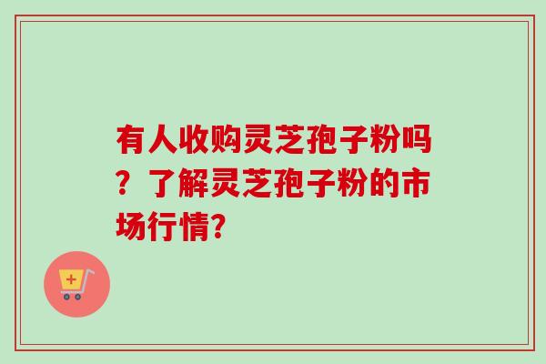 有人收购灵芝孢子粉吗？了解灵芝孢子粉的市场行情？-第1张图片-卓越灵芝孢子粉