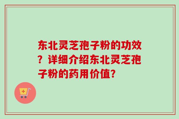 东北灵芝孢子粉的功效？详细介绍东北灵芝孢子粉的药用价值？-第1张图片-卓越灵芝孢子粉