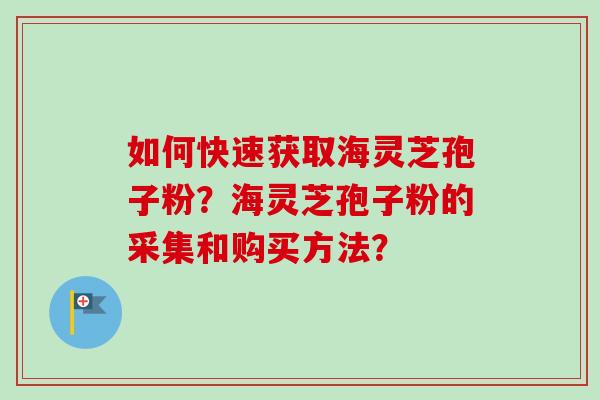 如何快速获取海灵芝孢子粉？海灵芝孢子粉的采集和购买方法？-第1张图片-卓越灵芝孢子粉