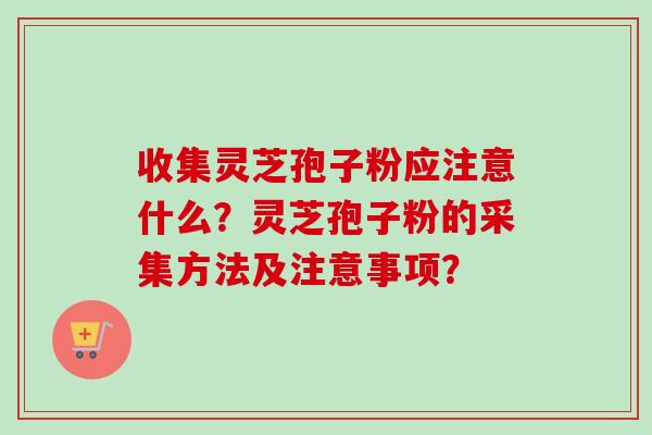 收集灵芝孢子粉应注意什么?灵芝孢子粉的采集方法及注意事项?-第1张图片-卓越灵芝孢子粉 收集灵芝孢子粉应注意什么?灵芝孢子粉的采集方法及注意事项?-第1张图片-卓越灵芝孢子粉