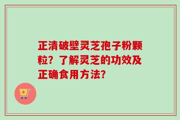 正清破壁灵芝孢子粉颗粒？了解灵芝的功效及正确食用方法？-第1张图片-卓岳灵芝孢子粉