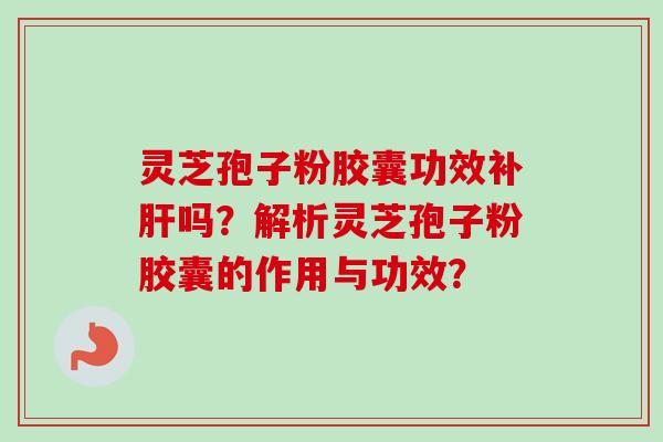 灵芝孢子粉胶囊功效补肝吗？解析灵芝孢子粉胶囊的作用与功效？-第1张图片-卓越灵芝孢子粉