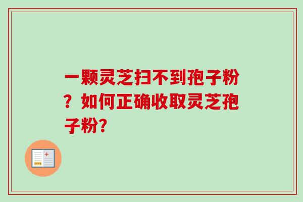 一颗灵芝扫不到孢子粉?如何正确收取灵芝孢子粉?-第1张图片-卓越灵芝孢子粉 一颗灵芝扫不到孢子粉?如何正确收取灵芝孢子粉?-第1张图片-卓越灵芝孢子粉