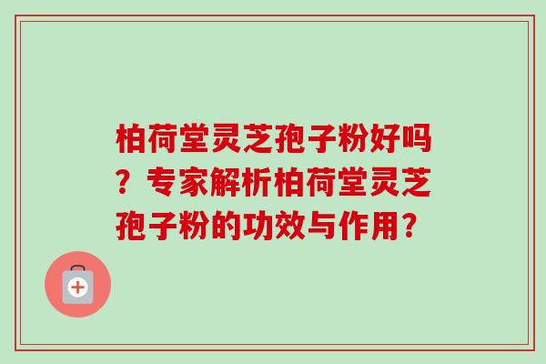 柏荷堂灵芝孢子粉好吗？专家解析柏荷堂灵芝孢子粉的功效与作用？-第1张图片-卓越灵芝孢子粉