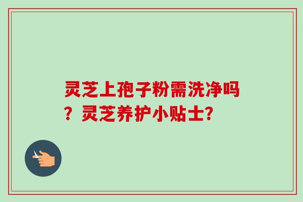 灵芝上孢子粉需洗净吗？灵芝养护小贴士？-第1张图片-卓越灵芝孢子粉