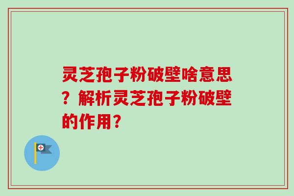 灵芝孢子粉破壁啥意思?解析灵芝孢子粉破壁的作用?-第1张图片-卓越灵芝孢子粉 灵芝孢子粉破壁啥意思?解析灵芝孢子粉破壁的作用?-第1张图片-卓越灵芝孢子粉