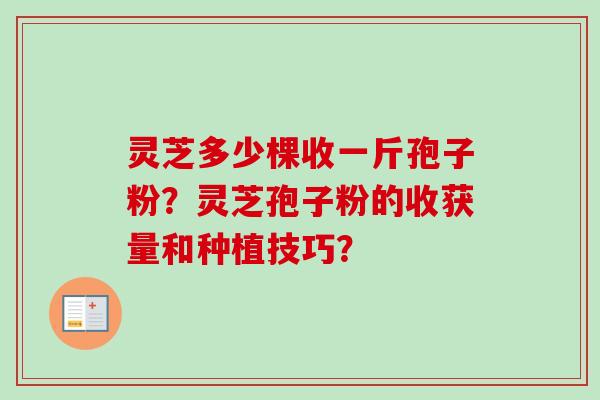 灵芝多少棵收一斤孢子粉？灵芝孢子粉的收获量和种植技巧？-第1张图片-卓岳灵芝孢子粉