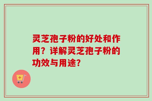 灵芝孢子粉的好处和作用？详解灵芝孢子粉的功效与用途？-第1张图片-卓越灵芝孢子粉