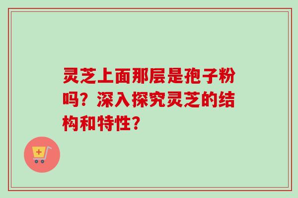 灵芝上面那层是孢子粉吗？深入探究灵芝的结构和特性？-第1张图片-卓越灵芝孢子粉