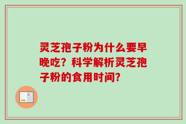 灵芝孢子粉为什么要早晚吃？科学解析灵芝孢子粉的食用时间？-第1张图片-卓越灵芝孢子粉