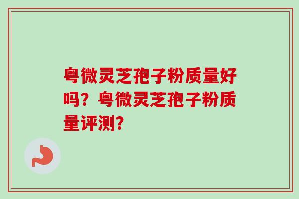 粤微灵芝孢子粉质量好吗?粤微灵芝孢子粉质量评测?-第1张图片-卓越灵芝孢子粉 粤微灵芝孢子粉质量好吗?粤微灵芝孢子粉质量评测?-第1张图片-卓越灵芝孢子粉