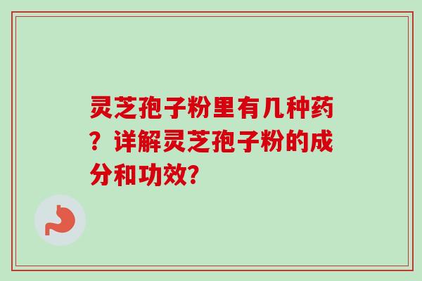 灵芝孢子粉里有几种药？详解灵芝孢子粉的成分和功效？-第1张图片-卓岳灵芝孢子粉