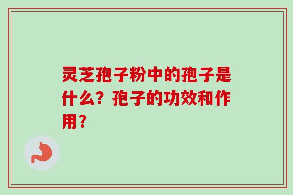 灵芝孢子粉中的孢子是什么？孢子的功效和作用？-第1张图片-卓岳灵芝孢子粉